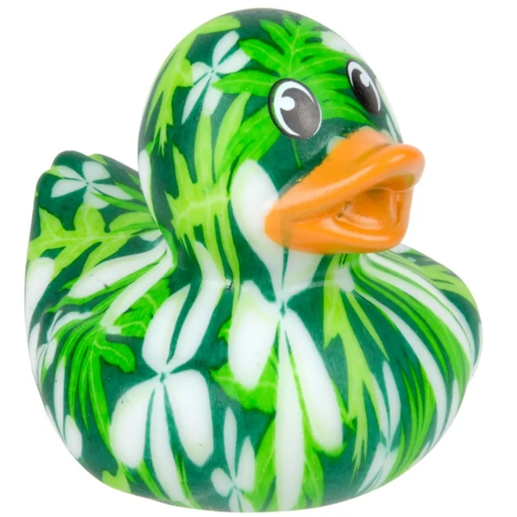 Hawaii Duck