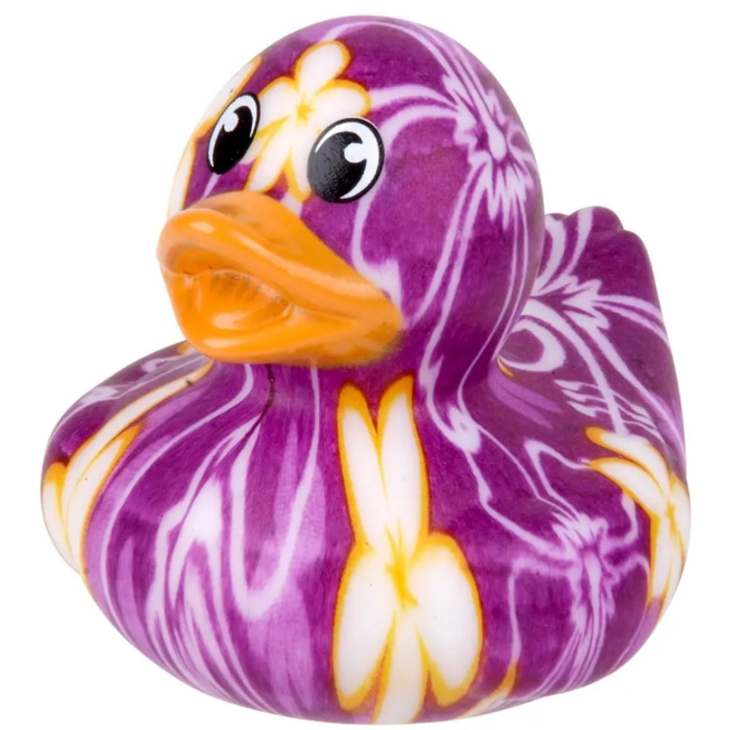 Hawaii Duck