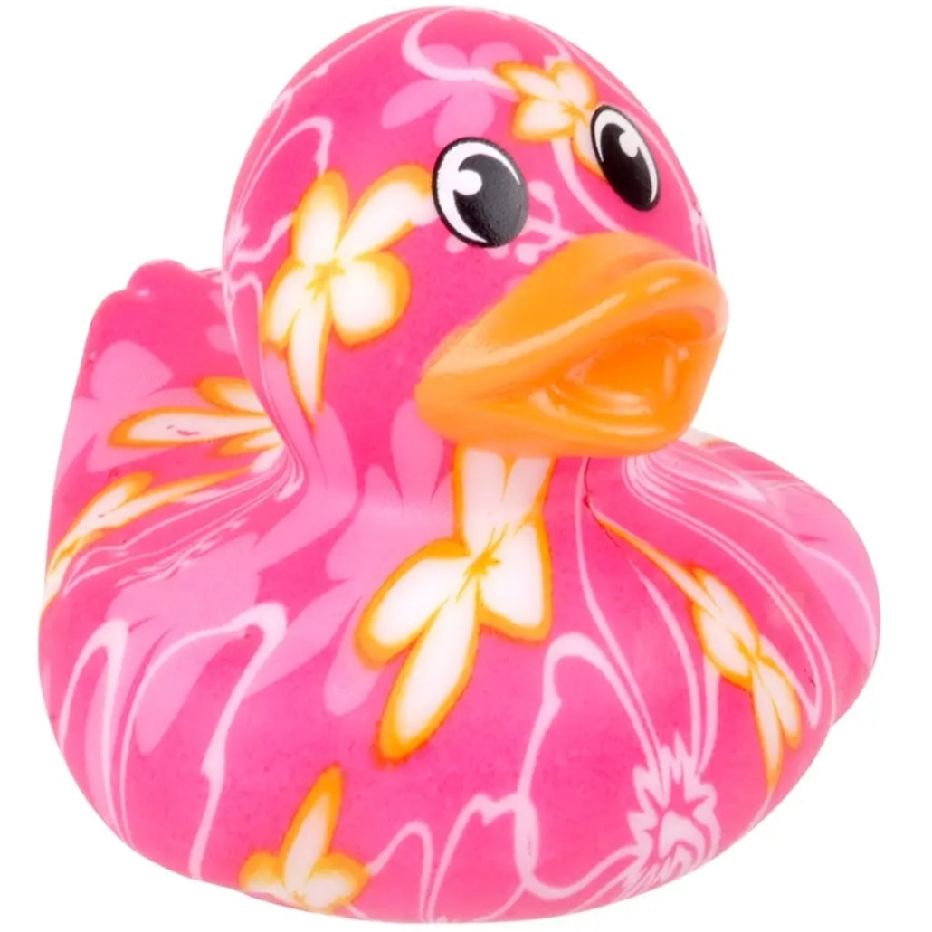 Hawaii Duck