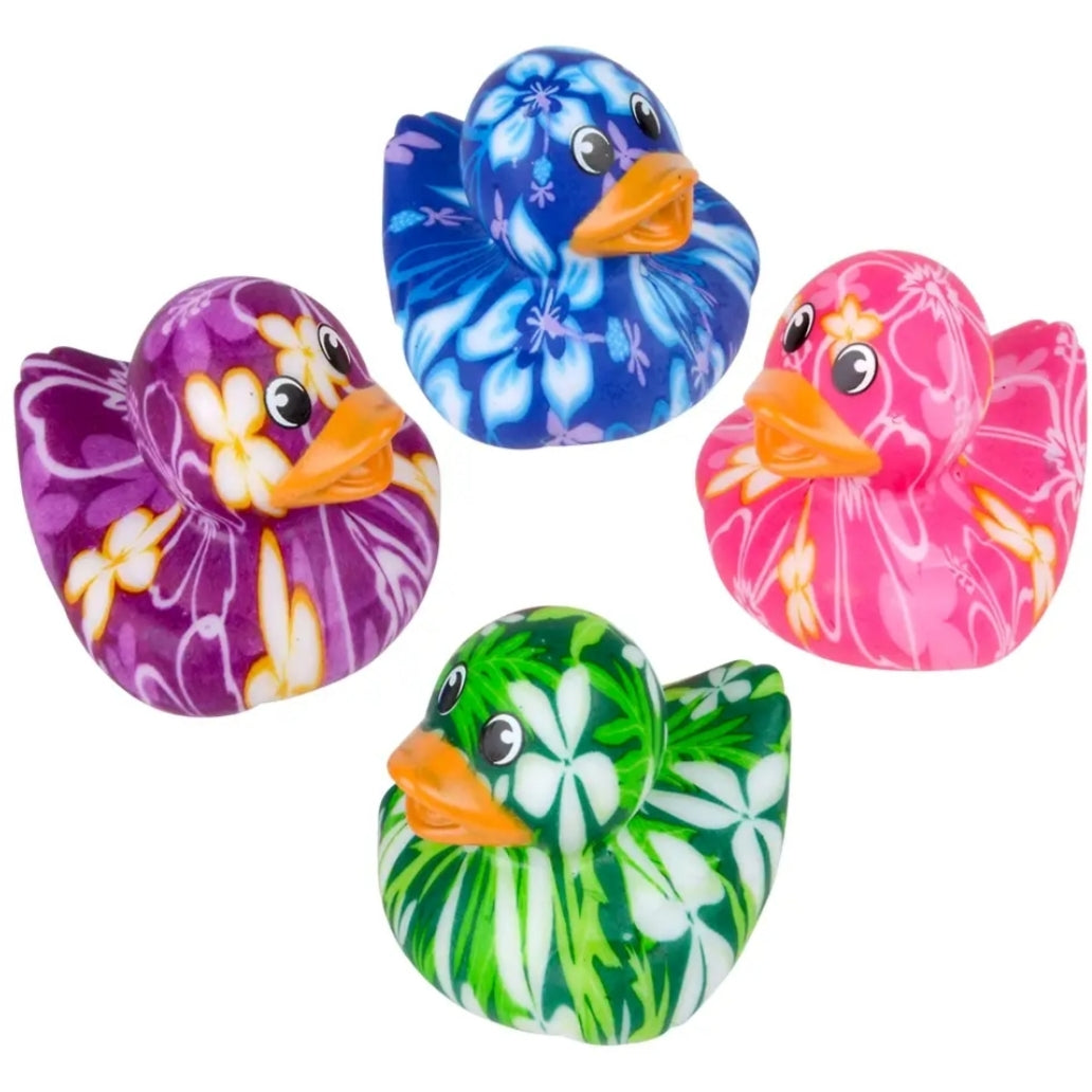 Hawaii Duck